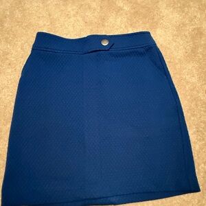 Banana Republic Vibrant Blue Mini Skirt